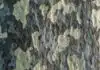 Comment bien choisir son filet de camouflage militaire ?