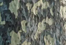 Comment bien choisir son filet de camouflage militaire ?